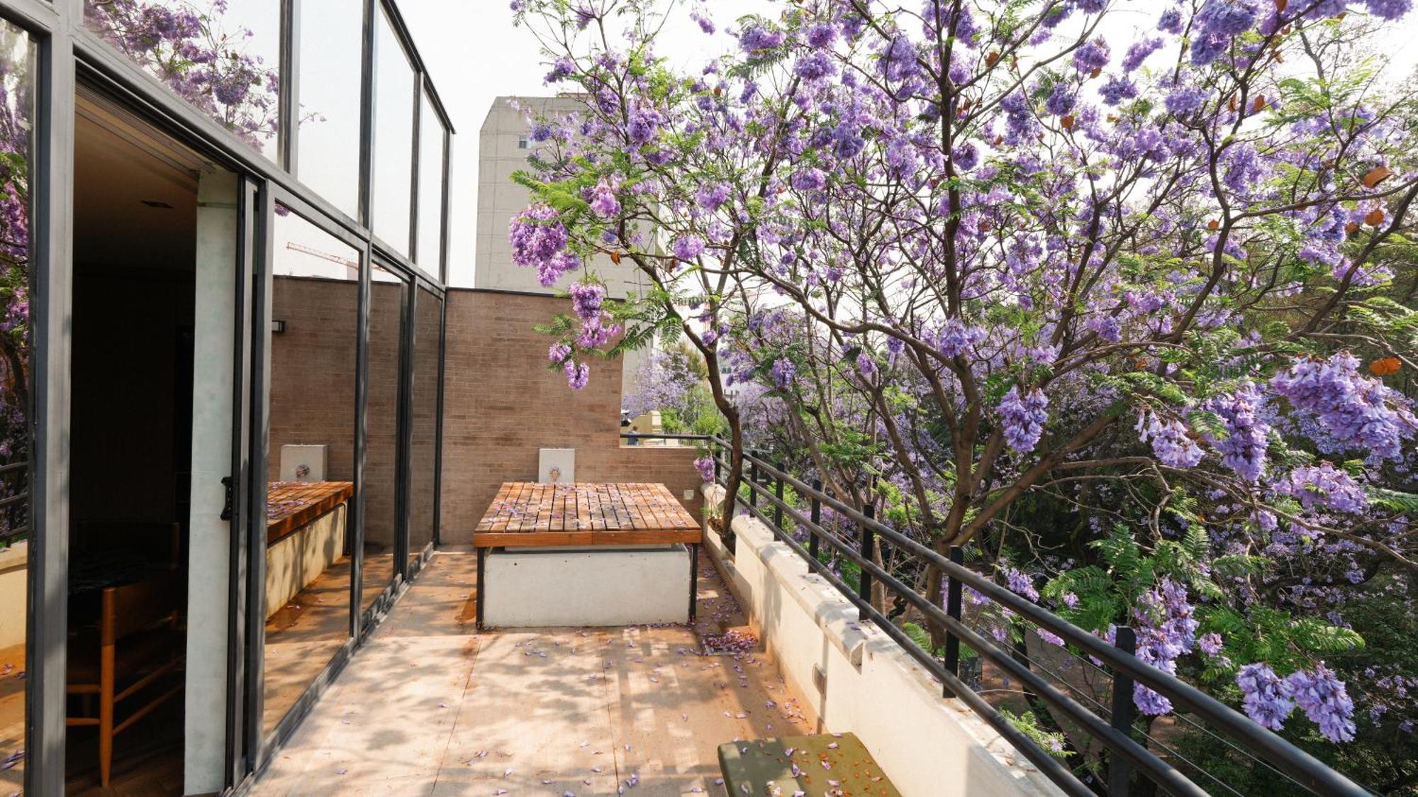 Rodona Hotel Meksika Dış mekan fotoğraf