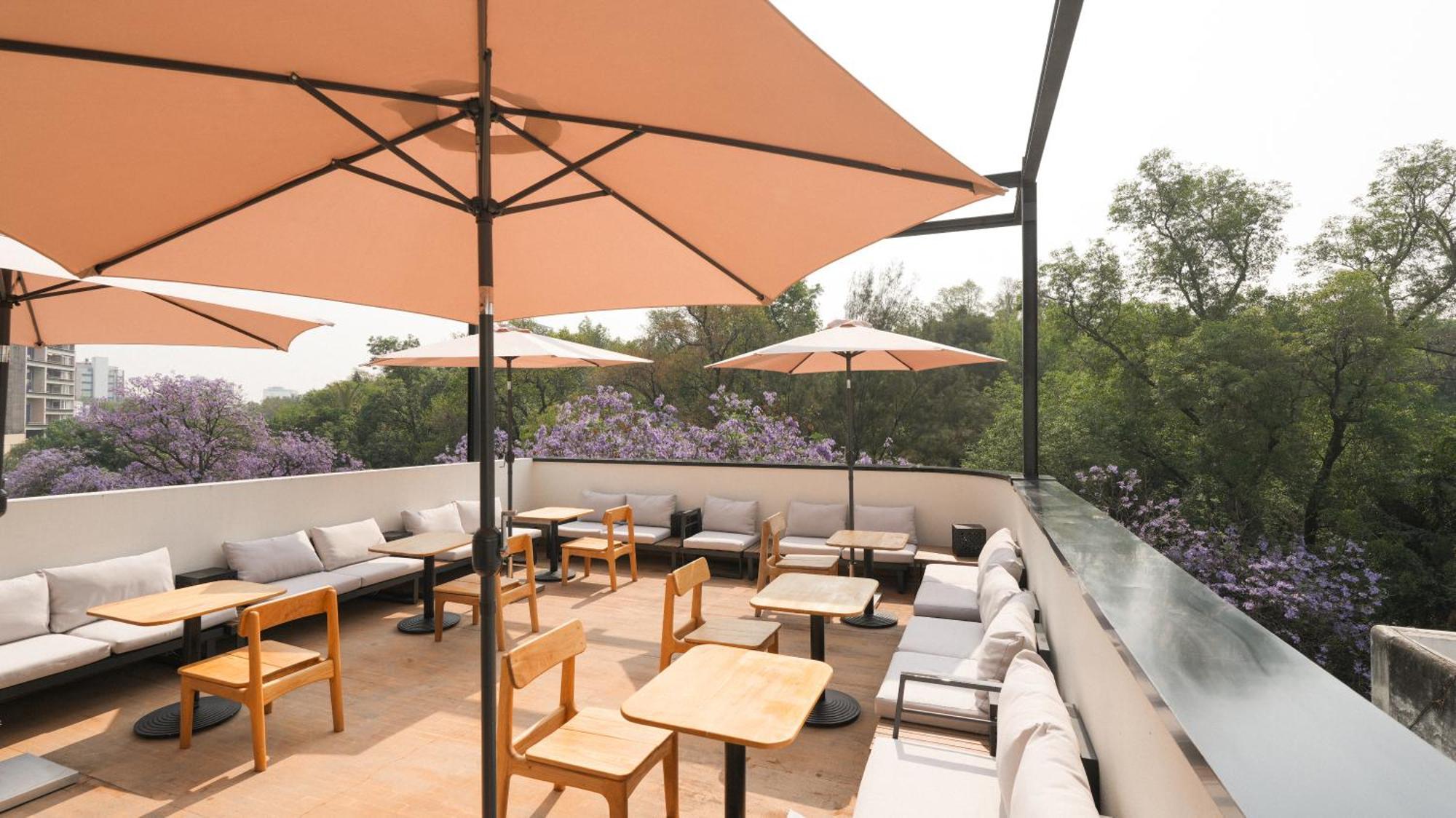 Rodona Hotel Meksika Dış mekan fotoğraf